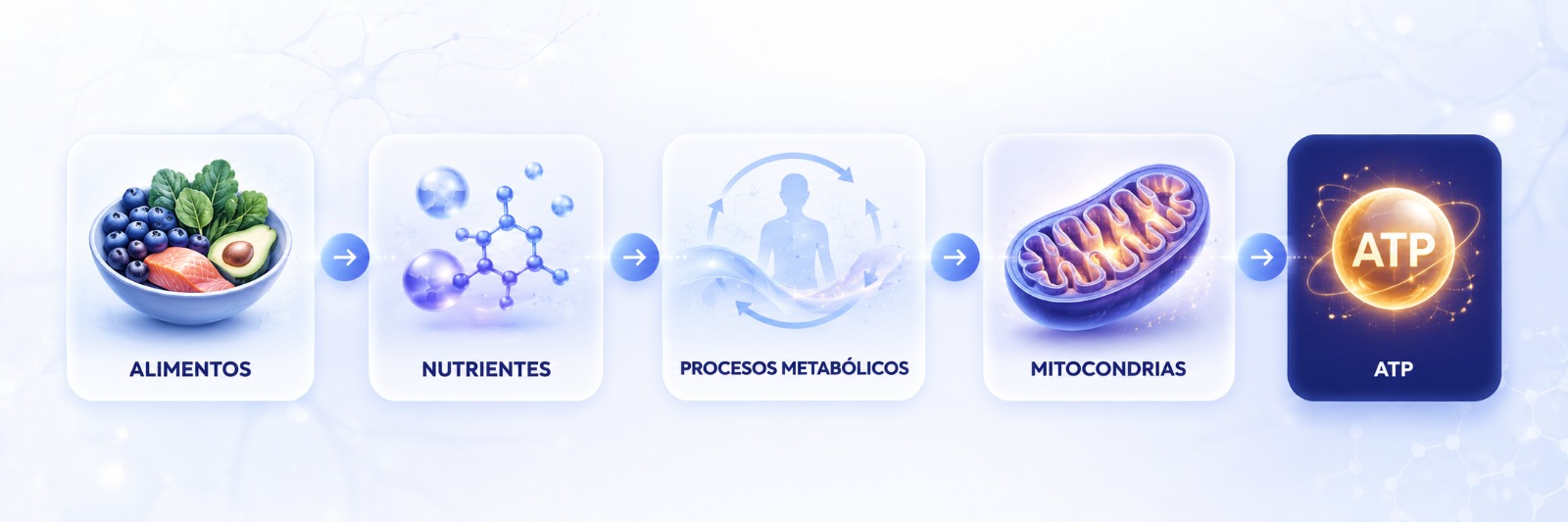 Infografía